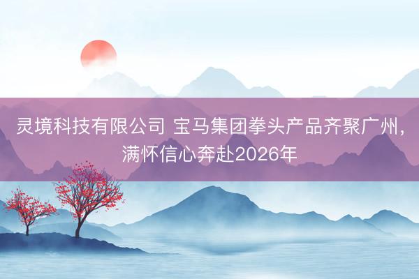 灵境科技有限公司 宝马集团拳头产品齐聚广州，满怀信心奔赴2026年