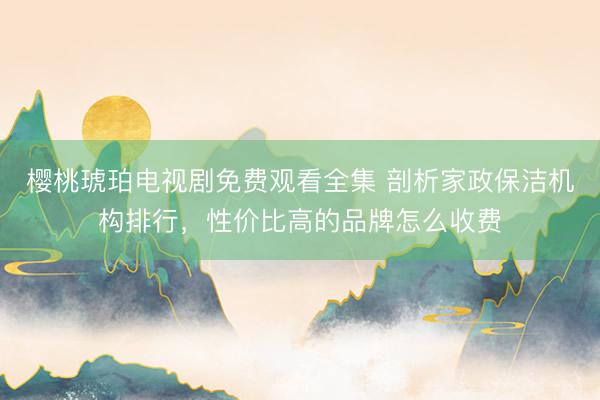 樱桃琥珀电视剧免费观看全集 剖析家政保洁机构排行，性价比高的品牌怎么收费
