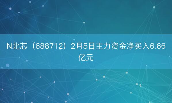 N北芯（688712）2月5日主力资金净买入6.66亿元