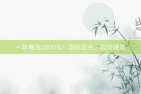 一年暴涨2600%！国际巨头，股价爆发