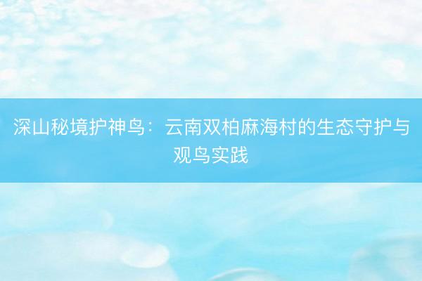 深山秘境护神鸟：云南双柏麻海村的生态守护与观鸟实践