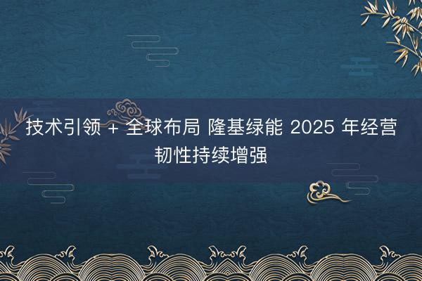 技术引领 + 全球布局 隆基绿能 2025 年经营韧性持续增强