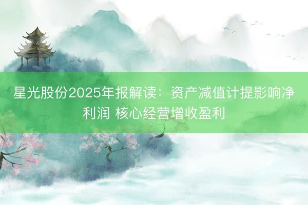 星光股份2025年报解读：资产减值计提影响净利润 核心经营增收盈利