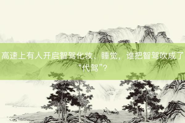 高速上有人开启智驾化妆、睡觉，谁把智驾吹成了“代驾”？