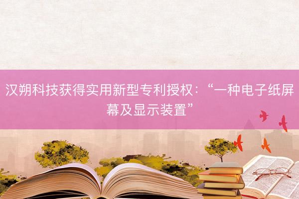 汉朔科技获得实用新型专利授权：“一种电子纸屏幕及显示装置”