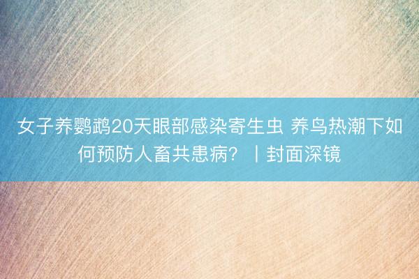 女子养鹦鹉20天眼部感染寄生虫 养鸟热潮下如何预防人畜共患病？丨封面深镜