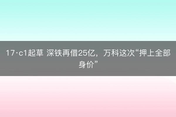 17·c1起草 深铁再借25亿，万科这次“押上全部身价”