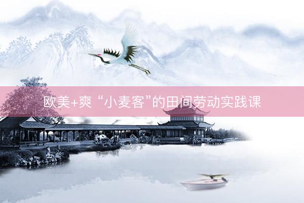 欧美+爽 “小麦客”的田间劳动实践课