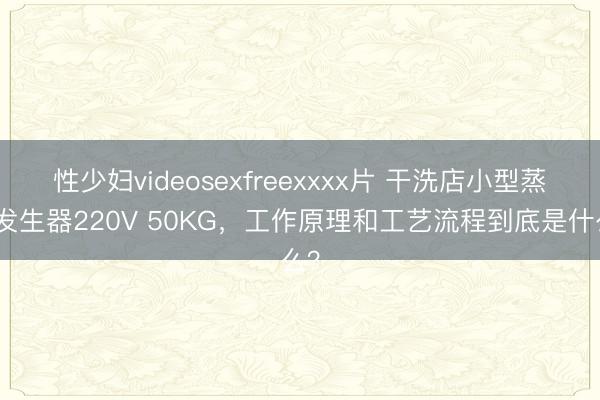 性少妇videosexfreexxxx片 干洗店小型蒸汽发生器220V 50KG，工作原理和工艺流程到底是什么？