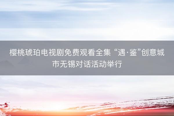 樱桃琥珀电视剧免费观看全集 “遇·鉴”创意城市无锡对话活动举行