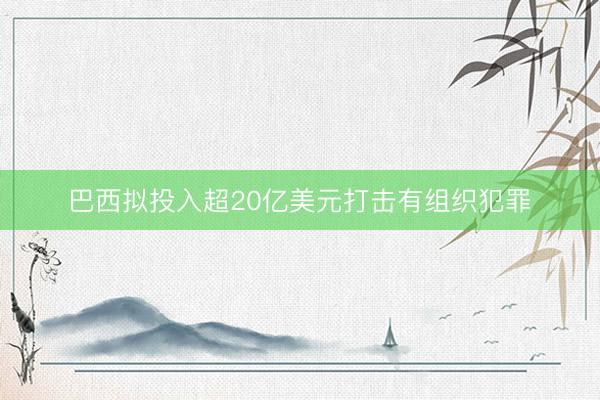 巴西拟投入超20亿美元打击有组织犯罪