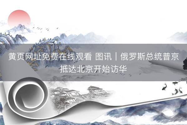 黄页网址免费在线观看 图讯｜俄罗斯总统普京抵达北京开始访华