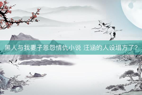 黑人与我妻子恩怨情仇小说 汪涵的人设塌方了？