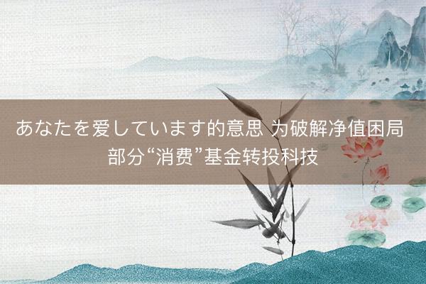 あなたを爱しています的意思 为破解净值困局 部分“消费”基金转投科技