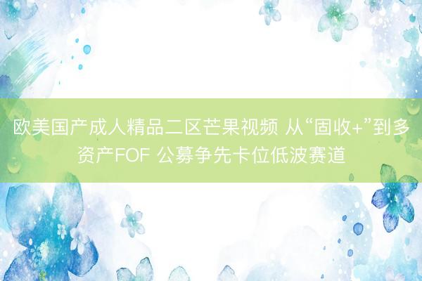 欧美国产成人精品二区芒果视频 从“固收+”到多资产FOF 公募争先卡位低波赛道
