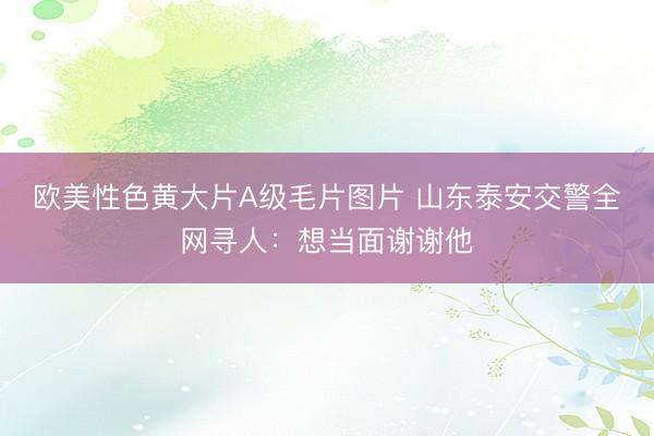 欧美性色黄大片A级毛片图片 山东泰安交警全网寻人：想当面谢谢他