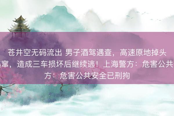 苍井空无码流出 男子酒驾遇查，高速原地掉头逆行疯狂逃窜，造成三车损坏后继续逃！上海警方：危害公共安全已刑拘