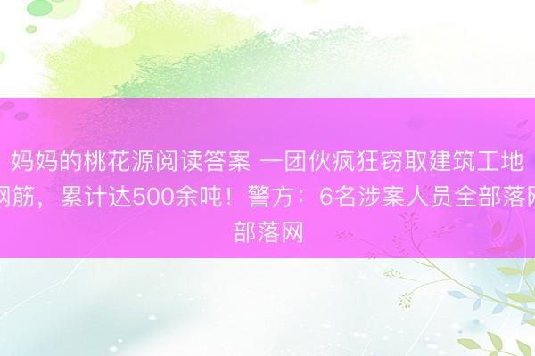 妈妈的桃花源阅读答案 一团伙疯狂窃取建筑工地钢筋，累计达500余吨！警方：6名涉案人员全部落网