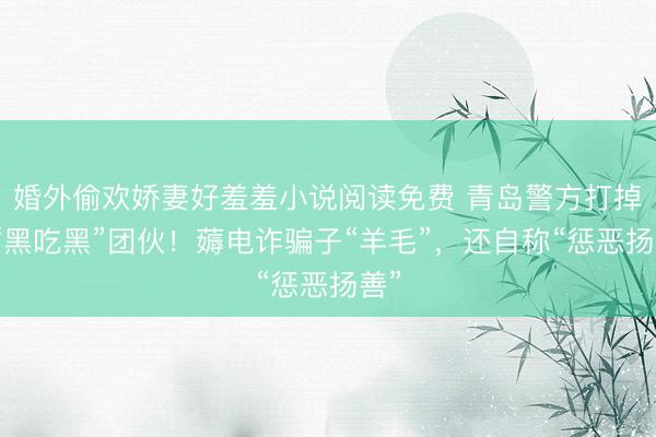 婚外偷欢娇妻好羞羞小说阅读免费 青岛警方打掉一“黑吃黑”团伙！薅电诈骗子“羊毛”，还自称“惩恶扬善”