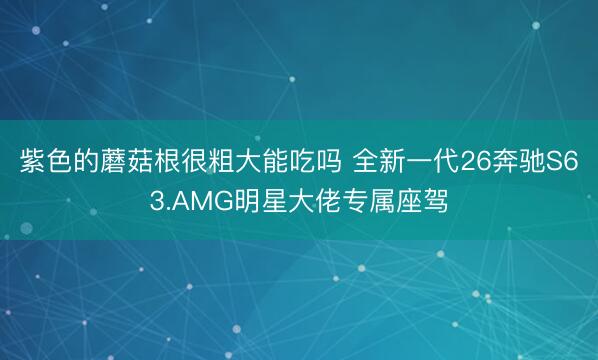 紫色的蘑菇根很粗大能吃吗 全新一代26奔驰S63.AMG明星大佬专属座驾