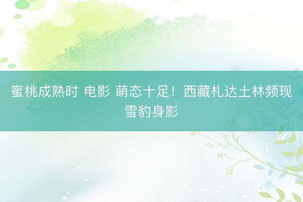 蜜桃成熟时 电影 萌态十足！西藏札达土林频现雪豹身影