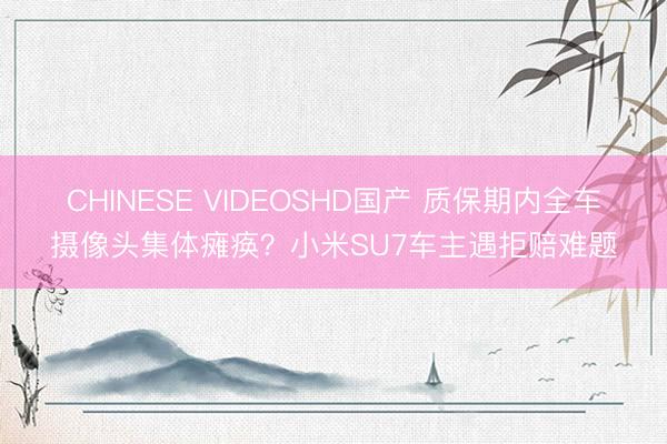 CHINESE VIDEOSHD国产 质保期内全车摄像头集体瘫痪?小米SU7车主遇拒赔难题
