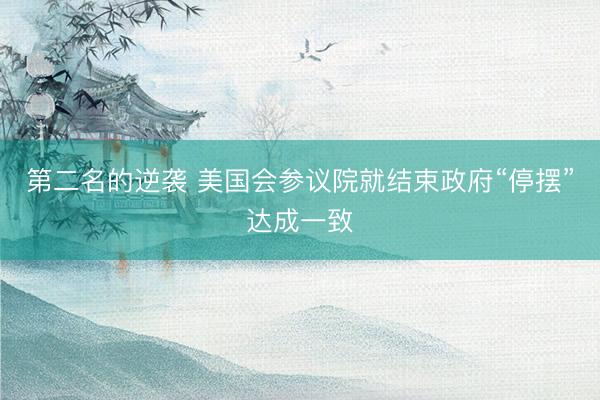 第二名的逆袭 美国会参议院就结束政府“停摆”达成一致