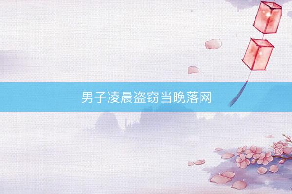 男子凌晨盗窃当晚落网