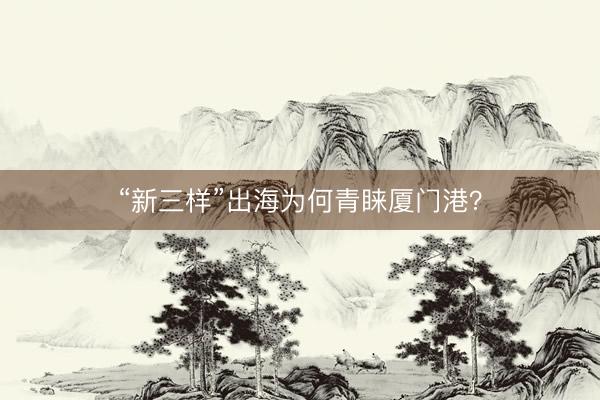 “新三样”出海为何青睐厦门港？