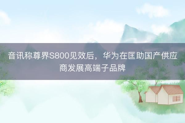 音讯称尊界S800见效后，华为在匡助国产供应商发展高端子品牌