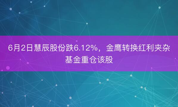 6月2日慧辰股份跌6.12%，金鹰转换红利夹杂基金重仓该股