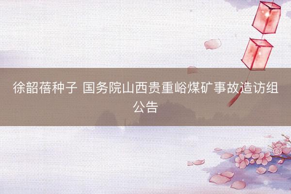 徐韶蓓种子 国务院山西贵重峪煤矿事故造访组公告