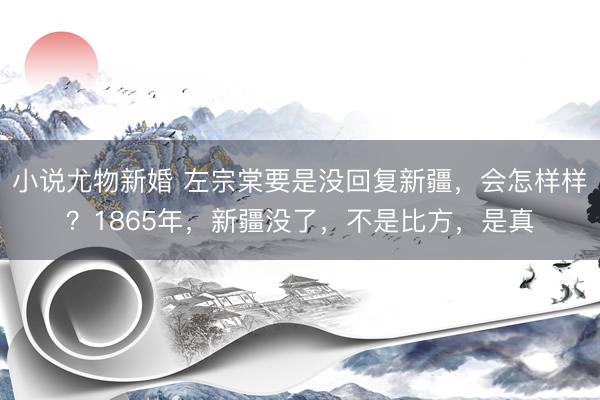 小说尤物新婚 左宗棠要是没回复新疆，会怎样样？1865年，新疆没了，不是比方，是真