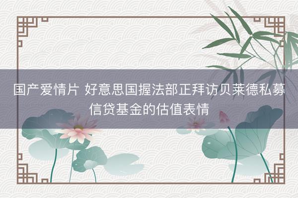 国产爱情片 好意思国握法部正拜访贝莱德私募信贷基金的估值表情