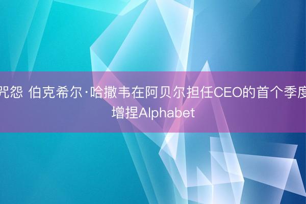 咒怨 伯克希尔·哈撒韦在阿贝尔担任CEO的首个季度增捏Alphabet