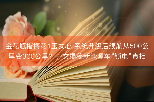 金花瓶楷梅花1玉女心 系统升级后续航从500公里变300公里？一文揭秘新能源车“锁电”真相