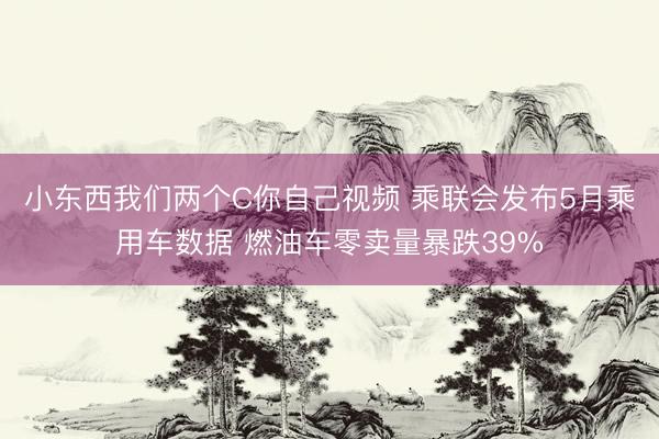 小东西我们两个C你自己视频 乘联会发布5月乘用车数据 燃油车零卖量暴跌39%