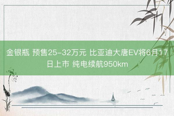 金银瓶 预售25-32万元 比亚迪大唐EV将6月17日上市 纯电续航950km