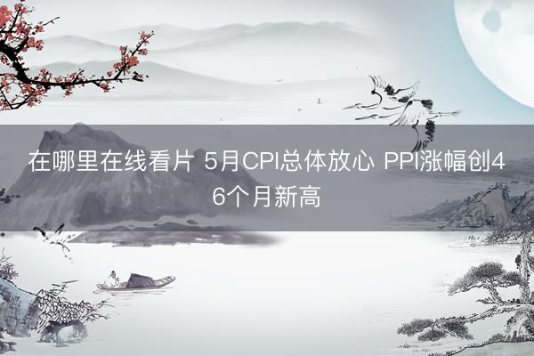 在哪里在线看片 5月CPI总体放心 PPI涨幅创46个月新高
