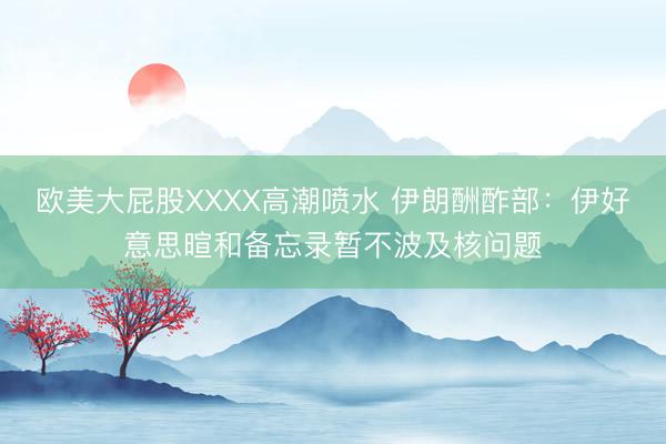 欧美大屁股XXXX高潮喷水 伊朗酬酢部：伊好意思暄和备忘录暂不波及核问题