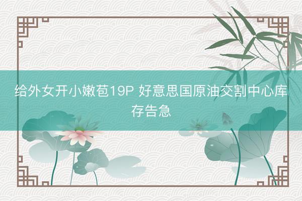 给外女开小嫩苞19P 好意思国原油交割中心库存告急