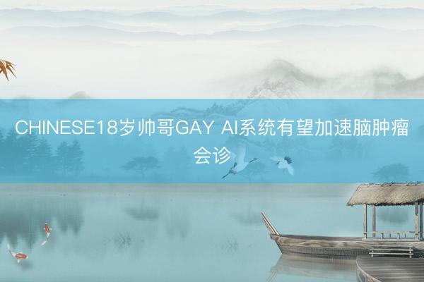 CHINESE18岁帅哥GAY AI系统有望加速脑肿瘤会诊
