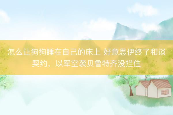怎么让狗狗睡在自己的床上 好意思伊终了和谈契约，以军空袭贝鲁特齐没拦住