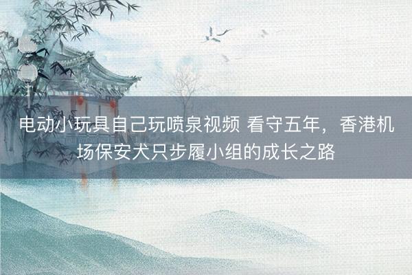电动小玩具自己玩喷泉视频 看守五年，香港机场保安犬只步履小组的成长之路