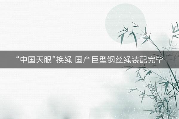 “中国天眼”换绳 国产巨型钢丝绳装配完毕